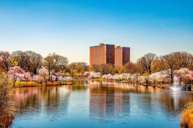 newark nj with cherry blossoms