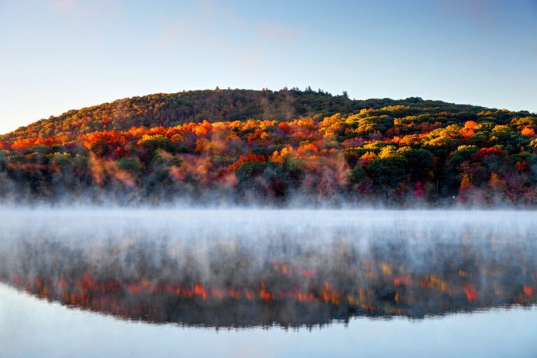 Connecticut fall