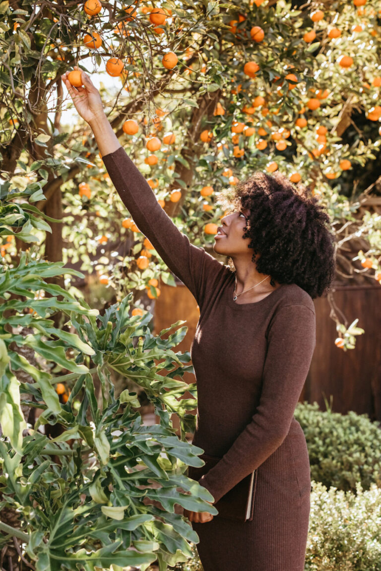 woman picking oranges